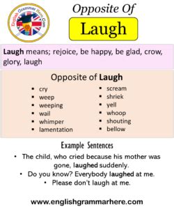 laughing antonyms